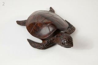 Mexican Ironwood Hand Carved Wood Art Sculpture - Sea Turtle From Sonora Desert