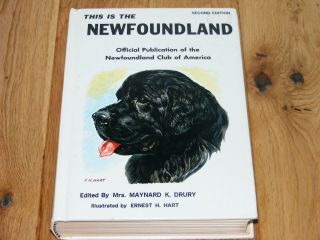 Vtg 1978 Newfoundland Dog Breed Book History Training Photos Ernest Hart Newfie