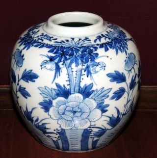 Antique Chinese Porcelain Blue White Ginger Jar Peony Insects Birds 19th C Qing