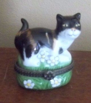 Calico Tortie Cat Porcelain Kitten Ring Pill Painted Trinket Kitty Gift Box