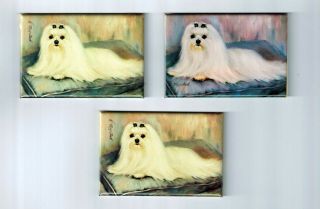 Maltese Magnet Set 3 Magnets By Ruth Maystead Mfr Mal - 4
