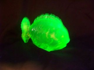 Vaseline Uranium Glass Chubby Fish Glow  ( (id198974))