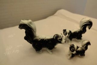 Bone China Miniature Skunk Amily