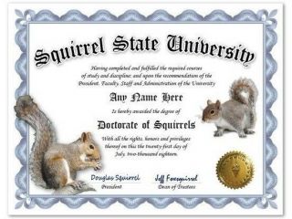 Squirrel State University Personalized Diploma W/ Gold Seal Novelty Funny Gag