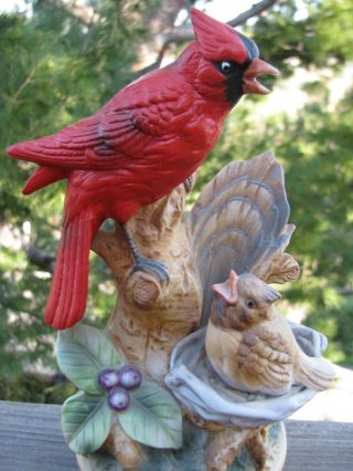Vintage Red Cardinal Bird And Baby Music Box,  Shafford Japan
