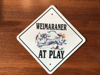 Weimaraner At Play 12” X 12” Metal Sign