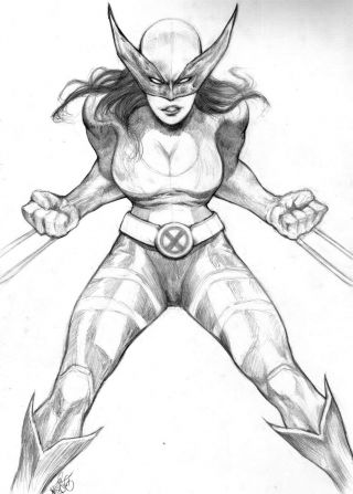 Wolverine (09 " X12 ") By Wander Helsing - Ed Benes Studio