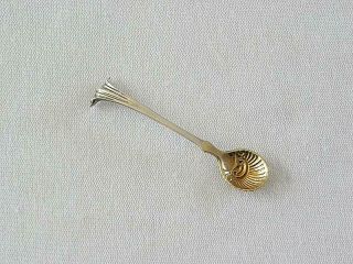 Vintage Tiffany & Co Sterling Silver Condiment Salt Spoon Gold Washed Shell Bowl