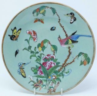19th C Chinese Famille Rose Celadon Canton Plate (23cm) Butterflies And Birds