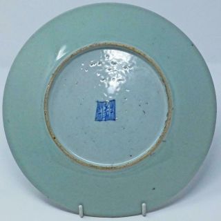 19th c CHINESE FAMILLE ROSE CELADON CANTON PLATE (23cm) BUTTERFLIES AND BIRDS 4