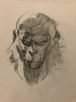 Ryan Sook Cover Prelim Overstreet Guide Planet Of The Apes Art