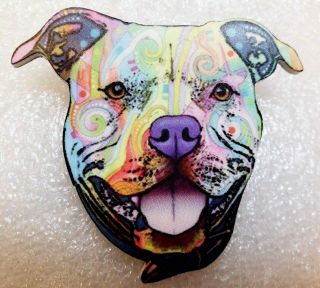 Pitbull Pit Bull Dog Face Large Multicolor Acrylic Pin Brooch Jewelry
