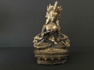 18th/19th Century Chinese Tibetan Bronze Buddha Kwan Yin Nr