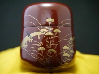 Japan Lacquer Wooden Tea Caddy Magpie At Golden Lace Makie Shitahari - Natsume 520