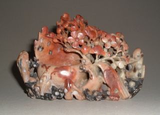 Old Chinese Carved Soapstone Bird & Flower Group,  Likely Republic - -