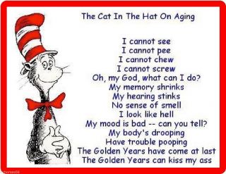 The Cat In The Hat On Aging Refrigerator Magnet