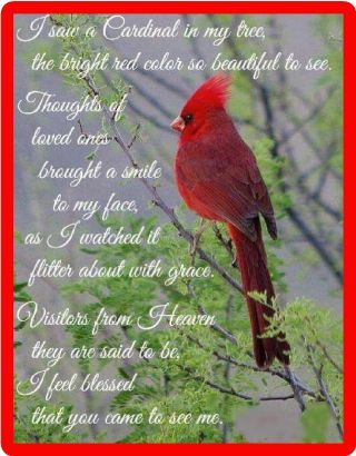 Insprirational Red Cardinal Blessed Bird Refrigerator Fridge Magnet Gift Item