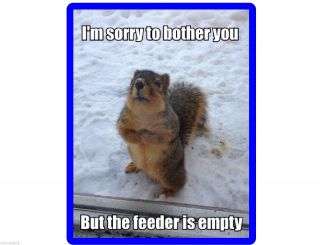 Funny Squirrel Feeder Empty Winter Time Refrigerator / Tool Box Magnet Ad