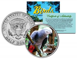 African Grey Bird Colorized Jfk Half Dollar Us Coin Parrot With Bright Red Tail