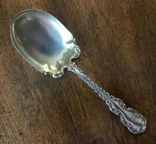 Whiting Louis Xv 1891 Sterling Silver Serving Spoon 7 1/2 " Mono Gold Wash