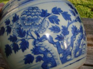 Antique 19th Century Chinese Blue and White Porcelain Peony Rock Jar 6