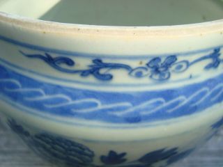 Antique 19th Century Chinese Blue and White Porcelain Peony Rock Jar 8