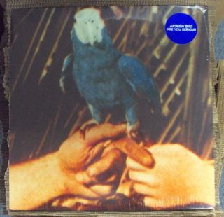 Andrew Bird Are You Serious Lp Indie - Rock Pinetop Seven