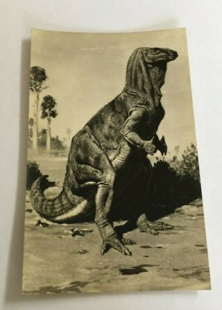 Iguanodon Dinosaur Postcard,  British Museum Natural History,  Neave Parker