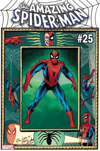 Spider - Man 25 Ditko Hidden Gem Variant 1:100 Marvel Comics