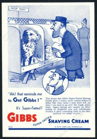 1937 Sheepdog Dog Show H.  M.  Bateman Cartoon Art Gibbs Shaving Cream Uk Print Ad