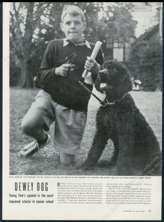 1945 Irish Water Spaniel 4 Photo Quaker Hill Dog Training Pawling Ny Article