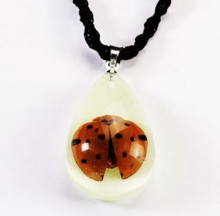 Ladybug Necklace Insect Jewelry Golden Lady Bug Vintage Art Pendant Ng
