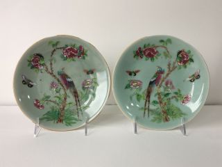 Pair Antique 19th C Chinese Celadon Famille Rose Plates Dish Qing