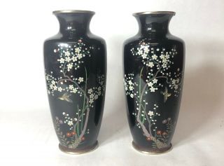Two Antique Japanese Meiji Period Black Cloisonné Vases