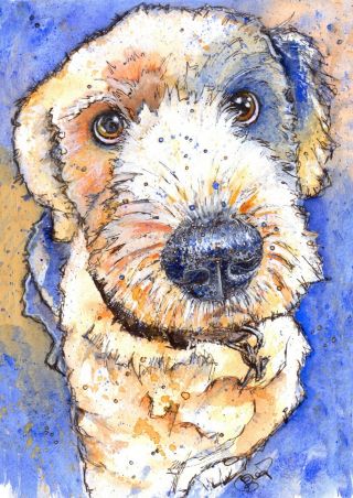 Old English Sheep Dog Print From Art By Josie P Watercolour Painting