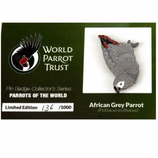Collectors Enamel Pin Badges - No 5.  African Grey Parrot