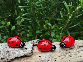 Miniature Fairy Garden Accessories Set/ 3 Tiny Glass Good Luck Ladybug Token