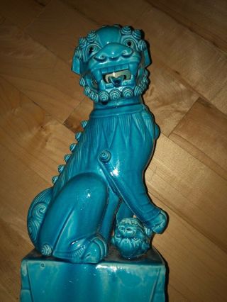 19th/20th C.  Peking Chinese Turquoise - glazed Model of Foo Dog Guardian Lion 5