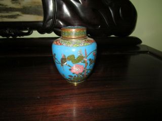 Antique 5 " Chinese Cloisonne Brass Enamel Lidded Ginger Jar Urn Vase