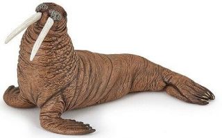Papo 56030 Walrus Toy Model Sealife Animal - Nip