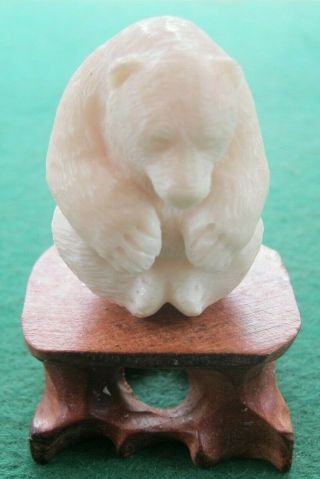 A Hand Carved Black Forest Style Bear Tagua Nut Vegetable Ivory