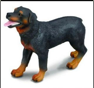 Rottweiler Dog Black & Brown Tan Figurine Pet Collecta Animal Toy Adult