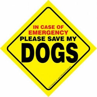 In Case Of Emergency Please Save My Dogs Bright Yellow Easy Read Window Sign