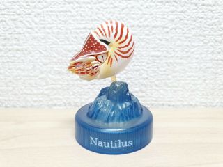 Kaiyodo Deep Sea Nautilus Mollusc Fish Figure