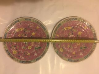 Antique Pair Chinese Export Porcelain Big Plates Hand Painted Pink Floral Design