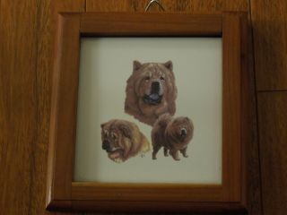 Chow Chow Dogs One Tile In Frame