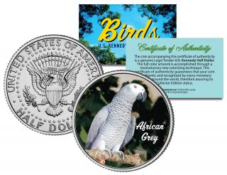 African Grey Bird Jfk Kennedy Half Dollar Us Colorized Coin