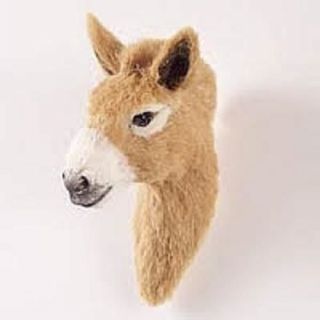 Cute Donkey Furlike Magnet Start Collecting Horses,  Dogs,  Birds & Animals