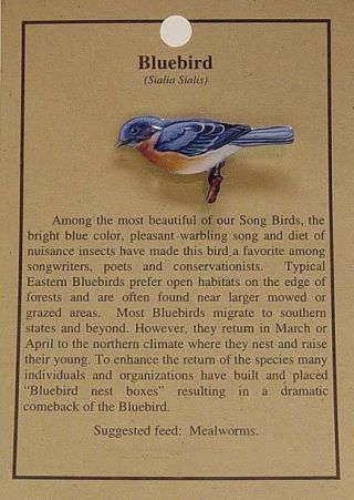 Bluebird Bird Hat Pin Lapel Pins