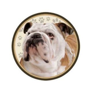 English Bulldog Dog Plastic 3 " Round Car Window Decal Sticker